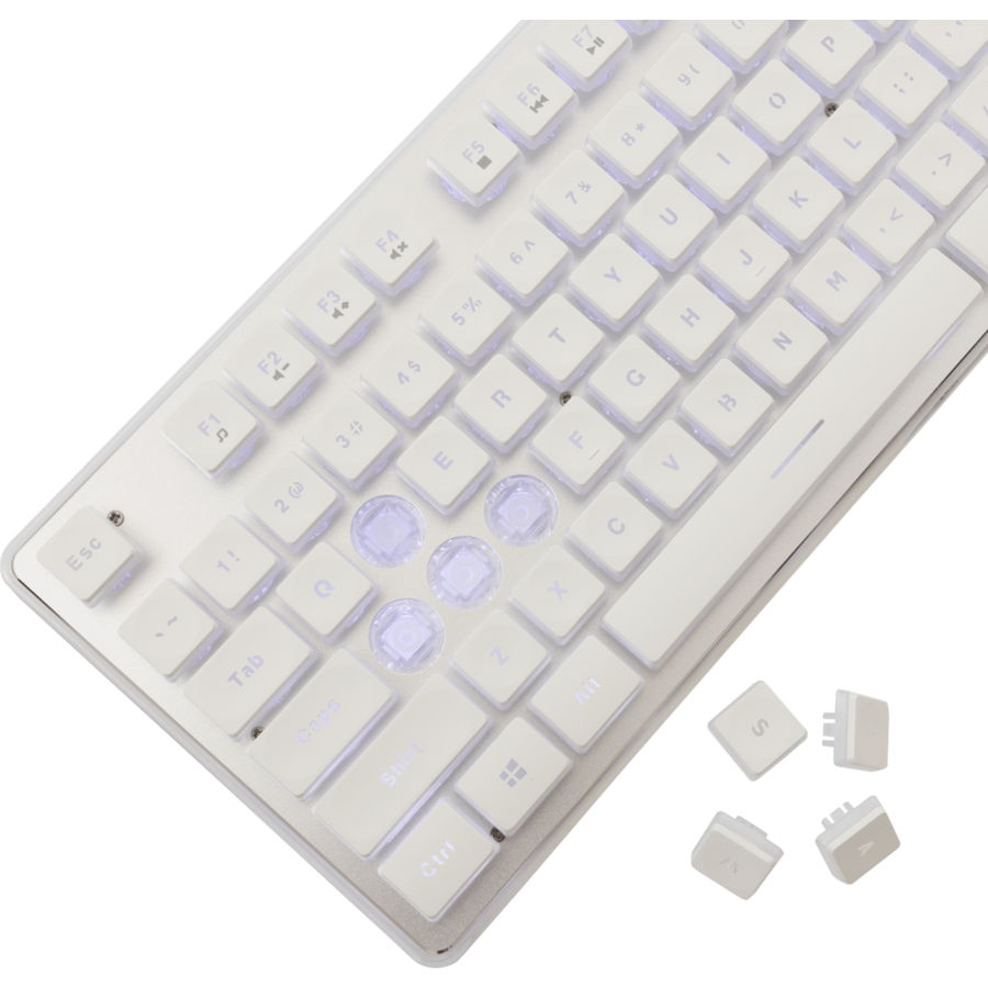 Tastatura Gaming cu Fir White Shark TACHI USB 2.0 Layout US ILuminare White LED Alb — imaginea 4