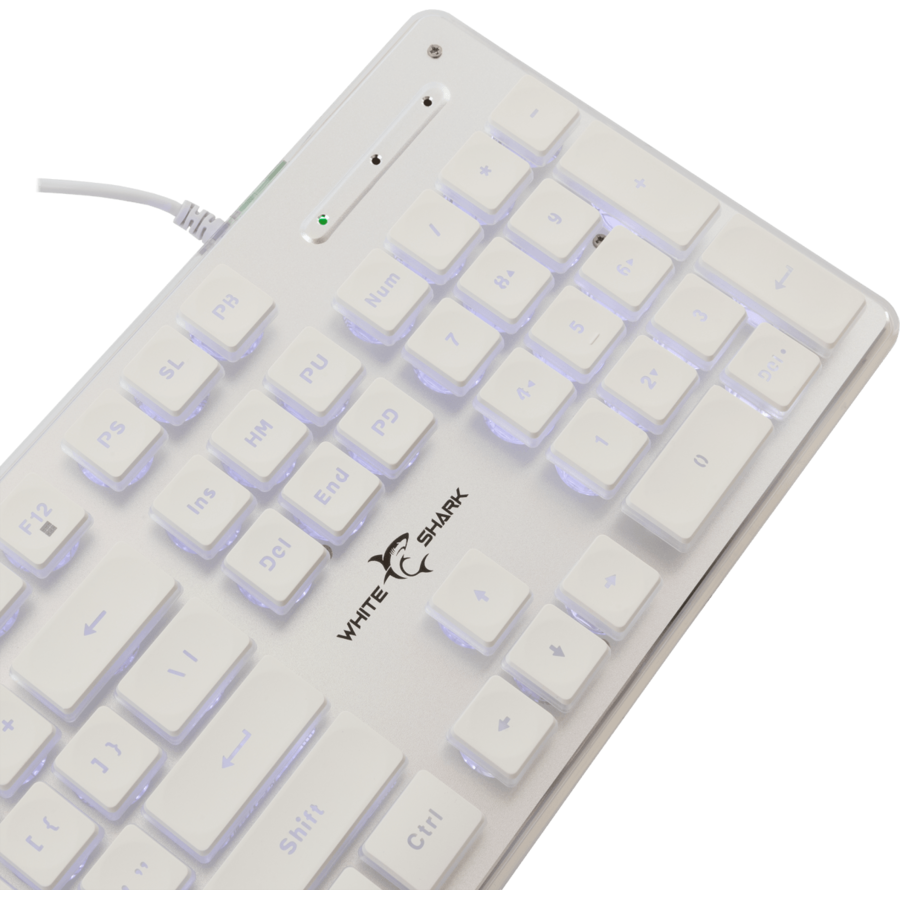 Tastatura Gaming cu Fir White Shark TACHI USB 2.0 Layout US ILuminare White LED Alb — imaginea 5