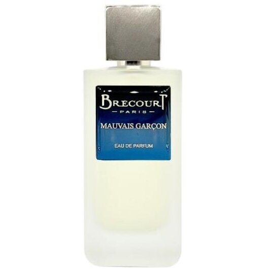 Apa de Parfum Brecourt Mauvais Garcon Bărbați 100ml