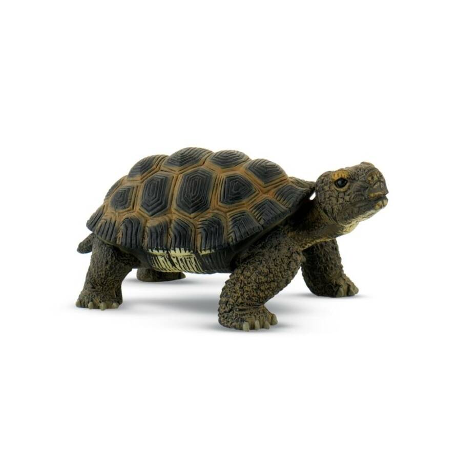 Bullyland Figurina Broasca Testoasa + 3 ani