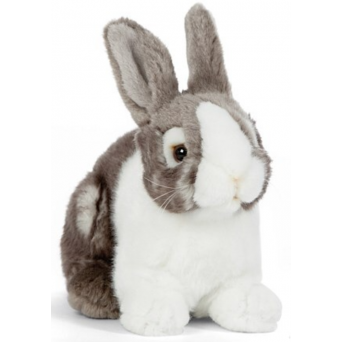 Iepuras De Plus Gri