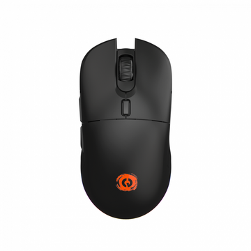 Mouse 2400DPI RGB Negru