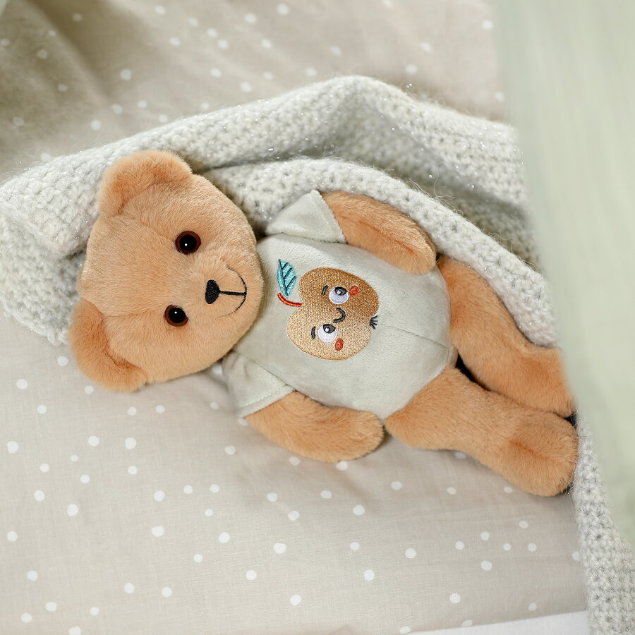 Jucarie Teddy +1 an