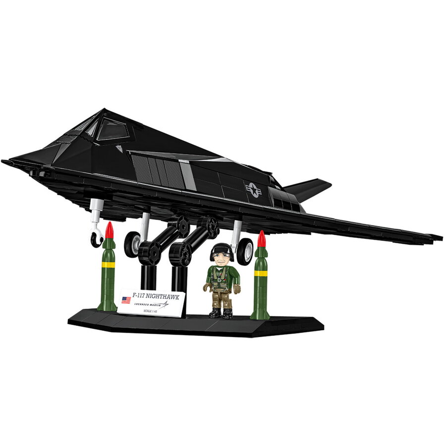 Jucarie Lockheed F-117 Nighthawk +9 ani
