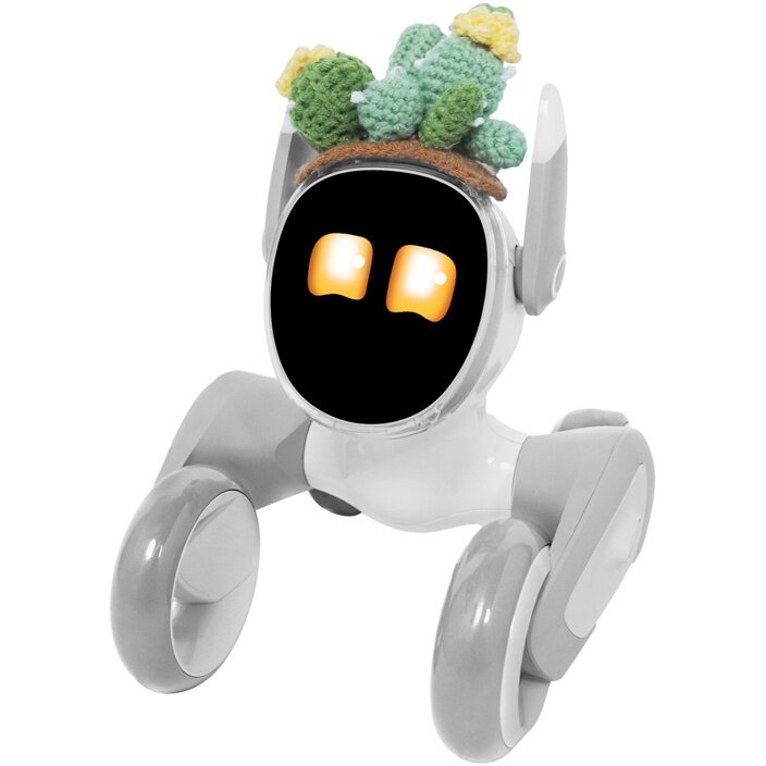 Costum Tricotat Premium Cactus pentru Robot 6+ Ani