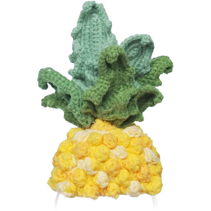 Costum Tricotat Premium Pineapple pentru Robot Interactiv 6+ Ani