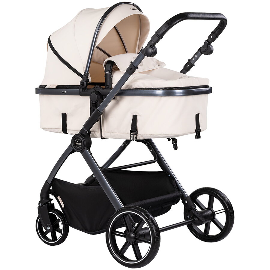 Carucior Pearl 2 in 1 Cashmere