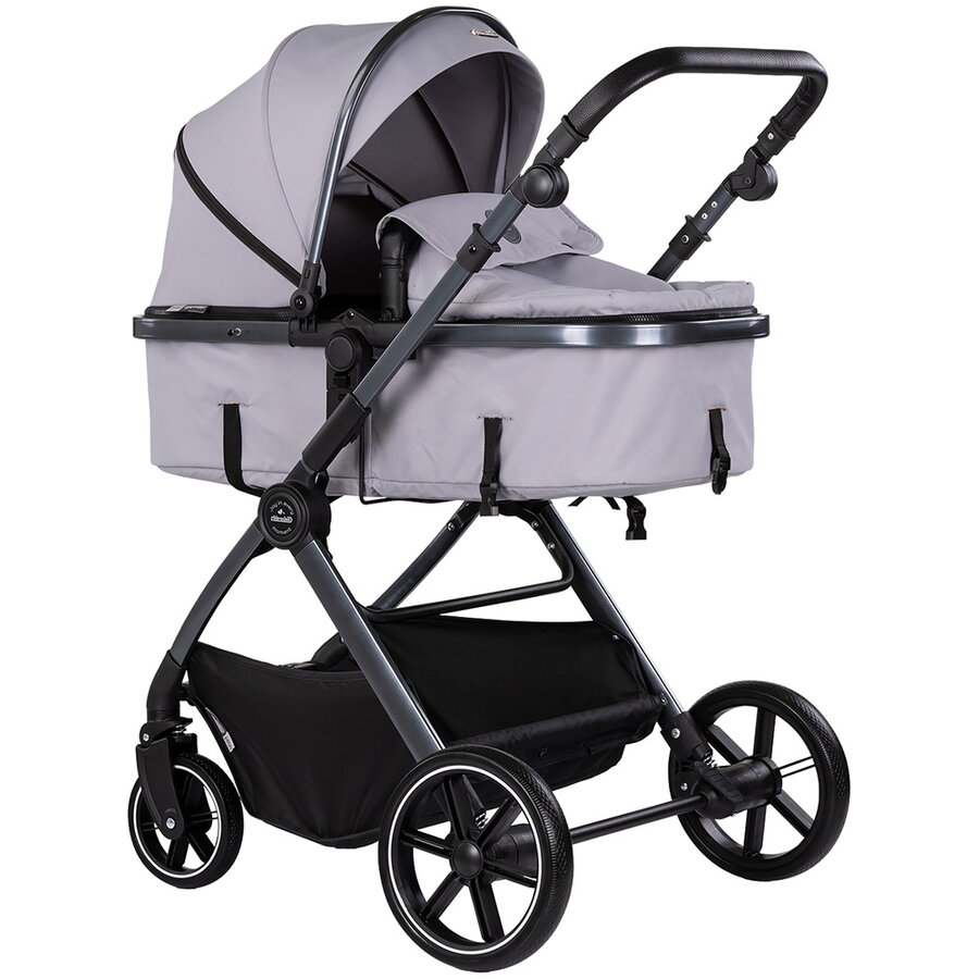 Carucior Pearl 2 in 1 Platinum